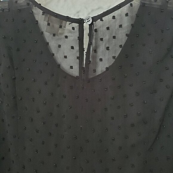 J Crew | Sheer Peplum Dot Top - Picture 7 of 7